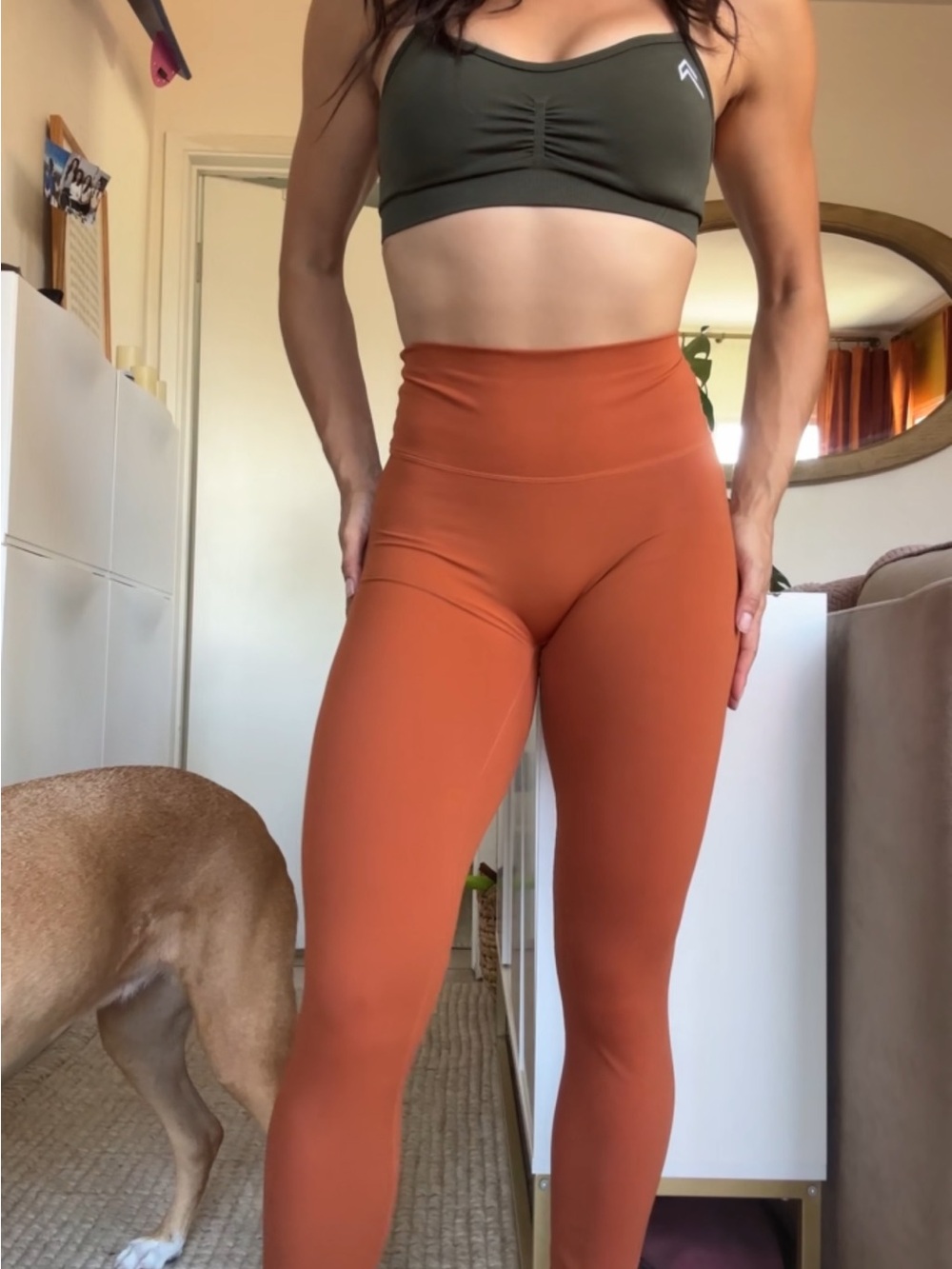 High-Waist Rust Active Leggings - Unbranded